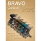 Прогулочная коляска CARRELLO Bravo Carbon CRL-5530 ginger beige /1/